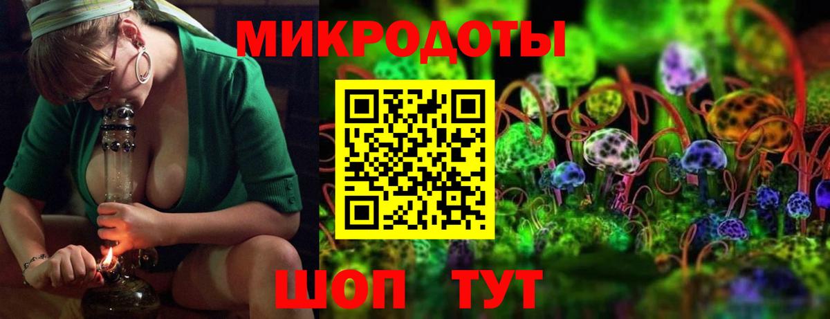 Псилоцибиновые грибы мицелий Северобайкальск